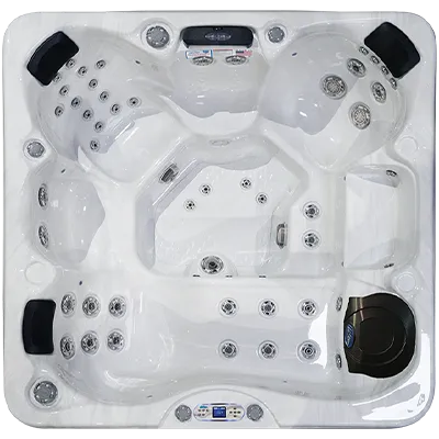 Avalon EC-849L hot tubs for sale in Costamesa